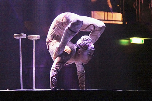 cruise14 (222)